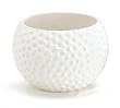 Large Ceramic Golf Ball Container - Use as a Planter, Candy Dish or Gift Basket!