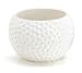 Large Ceramic Golf Ball Container - Use as a Planter, Candy Dish or Gift Basket!