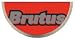 Qep 8" Brutus Continuous Rim Wet Saw Blade