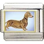 italian dachshund charms