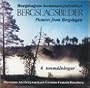 Pictures From Bergslagen