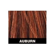 Toppik Hair Building Fibers, The 30 Second "HAIR TRANSPLANT" Economy Size 25 grams Auburn
