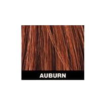 Toppik Hair Building Fibers, The 30 Second "HAIR TRANSPLANT" Economy Size 25 grams Auburn