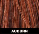Toppik Hair Building Fibers, The 30 Second "HAIR TRANSPLANT" Regular Size 10.3 grams Auburn