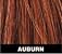 Auburn