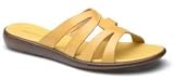 Azaleia Deco