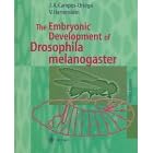 The Embryonic Development of Drosophila melanogaster