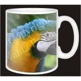 PARROT -Yellow/Blue Coffee MUG