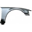 Right Passenger Side Fender 99-04 Ford Mustang 99 00 01 02 03 04 1999 2000 2001 2002 2003 2004
