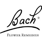 Bach Kids Kids Daydream Remedy to Help Stay Focused- .35 Fl. Oz.- Made in England