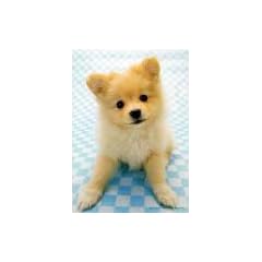 108ピース ボクをみて