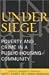 Under Siege: Poverty and Crime in a Public Housing Community