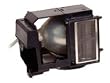 InFocus SP-Lamp-018 Replacement Lamp for X2 and C110