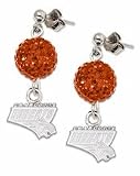 Charlotte Bobcats Ovation Crystal Earrings