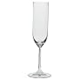Riedel Wine Series Champagne Glasses, Set of 4