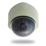 Review DNS Creative  / Realistic Dummy CCTV Camera with FLashing LED and Movement Sesnor