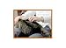 Pet Supplies : Love 2 Pet 2-in-1 Grooming Tool De-shedder & Rake