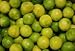 Key Lime Tree Semi Dwarf Five Gallon