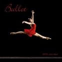 Ballet 2010 Standard Wall Calendar By Browntrout