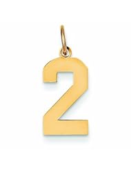 14K Gold Medium Polished Number 2 Charm