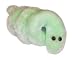 Giant Microbes Ambulatories Lyme Disease Petri Dish