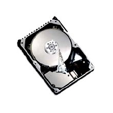 8d300s0 Maxtor Hard Drives Sas-3gbits 300gb-10000rpm by Maxtor