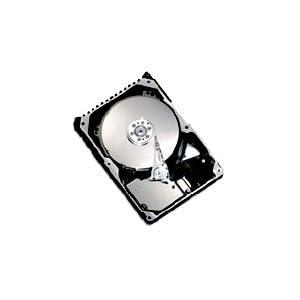 8d300s0 Maxtor Hard Drives Sas-3gbits 300gb-10000rpm by Maxtor