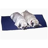 Polar Pet Pad 28X34