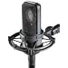 Audio Technica AT4040 Condenser Microphone