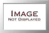 Electronics : Ricoh Copier Toner Cartridge Black [for Aficio 1015] Ref 888087