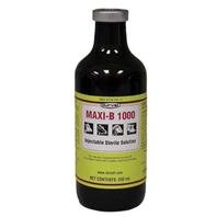 Vitamin Maxi B 1000 250Ml* 12