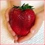 *RARE* GIANT STRAWBERRY *25 seeds*FRAGARIA ANANASSA L.*SWEETEST*E-Z GROW*#1105-A
