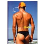Beach Boys book cover