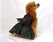 Emma Rose Sparkly Emerald Nights Classy Designer Dog Dress (XSmall)