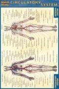 Circulatory System (Quickstudy)