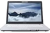 Sony VAIO VGN-FE690P10 Notebook - Intel Core Duo T2600 2.16 GHz Processor - 1 GB RAM - 1-REFURBISHED