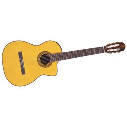 Childrens Toyshop  Musical Instruments : Takamine TC132SC Acoustic-Electric Nylon String Guitar, Natural