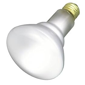 SLI Indoor Floodlight Halogen Bulb, 60 Watts (SLT15668)