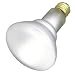 65 Watt Incandescent Flood Light Bulb / 20,000 Hour Life / BR30 Shape / Flood Beam Spread / 65BR30