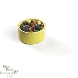 Pets International Mini Crocks 6 Assorted. Colors