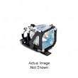Replacement Lamp for NP60