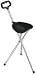 Folding Cane with Plastic Seat