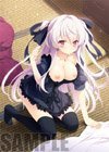 花の野に咲くうたかたの プレミアム初回限定版　【トレーダー特典タペストリー　　付き】