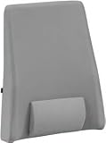 Deluxe Adjustable Back Support Deluxe Adjustable Back Support
