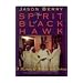 The Spirit of Black Hawk: A Mystery of Africans and Indians