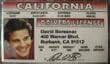 Buffy the Vampire Slayer David Boreanaz Fake Drivers License