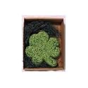 Shamrock Bird Seed Wreath, 1 Lb Green