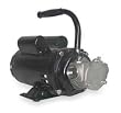 Dayton 3ACC6 Pump, SS, 3/4 HP, 115/230V, 10.8/5.4 Amps
