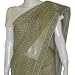 Woman Sari Printed Cotton Ethnic Clothing Multicolored (csari145)
