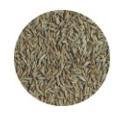 Cumin Seeds (Jeera Whole) 7oz